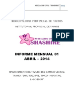 Informe 01 - Shashire(Abril)