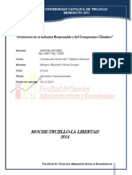 informe garactias constitucionales.docx