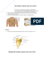 Osteologia y Miologia ANATO