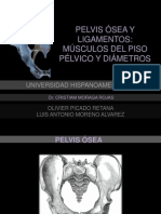 Presentación Pelvis