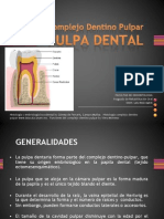 Histologia Dentaria Pulpa Dental
