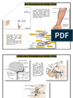 Lokalisasi Pengambilan Darah Vena