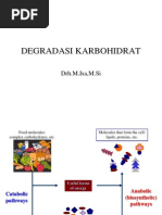 Download degradasi karbohidrat by ReIzq RamaDhan SN250343953 doc pdf