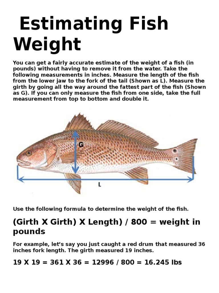 Estimating Fish Weight | PDF | Home & Garden