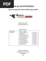 Download Makalah Fitokimia by Rini Pramuati SN250358409 doc pdf