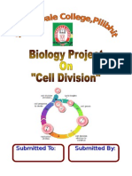 Cell Division