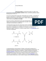 Além de serem constituintes das proteínas os aminoácidos podem ser usados como precursores de moléculas biológicas azotadas.doc