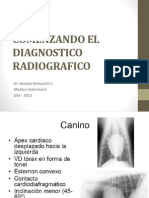 3 - Comenzando El Diagnostico Radiografico