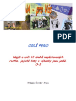 Orlí Pero: Najdi A Urči 10 Druhů Nepěstovaných Rostlin, Jejichž Listy A Výhonky Jsou Jedlé. O-2