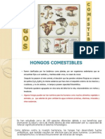 HONGOS COMESTIBLES Diapos