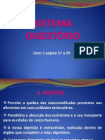 sistemadigestrio-120809093332-phpapp01