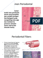 Ligamen Periodontal