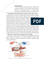 Metabolisme Bilirubin Normal