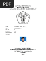 Download Analisa Kualitatif Karbohidrat by JalilyIbsar SN250391233 doc pdf