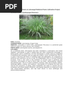 Download Medicinal Plants by Vinayak Khairnar SN250401377 doc pdf