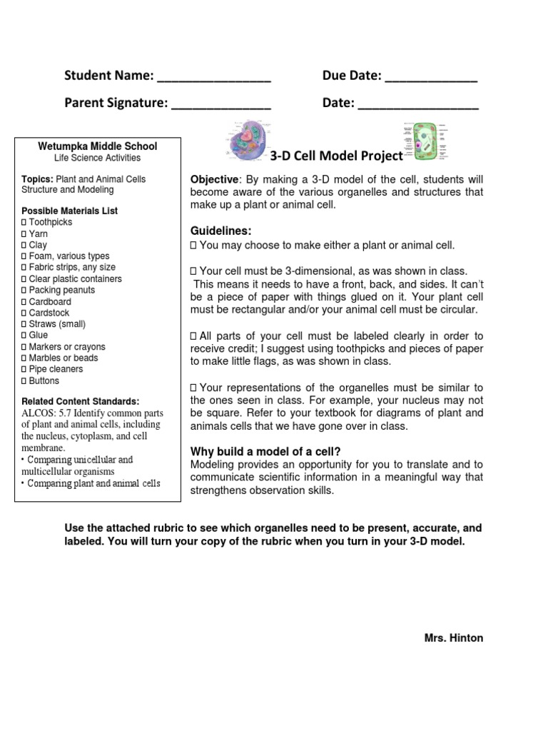 Cell Project And Rubric Eukaryotes Biology