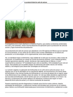 sistema-experto-para-aumentar-productividad-de-cana-de-azucar-.pdf