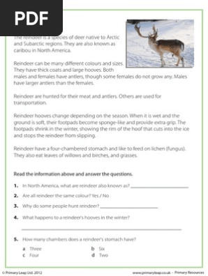 reindeer reading.pdf