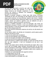 Teoria Da Motivação No Treinamento de Cães