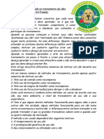 Teoria Da Motivação No Treinamento de Cães