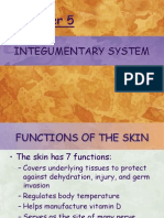 integumentary system 2014