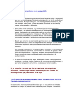 Mictoorganismos en El Agua Potable PDF