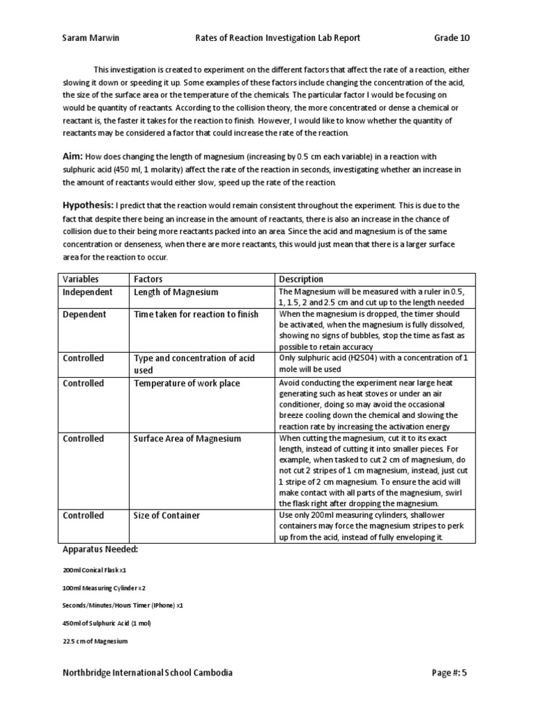 Chemical Reaction Lab Report