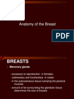 Anatomy of The Breast