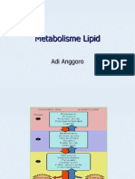 Metabolisme Lipid I