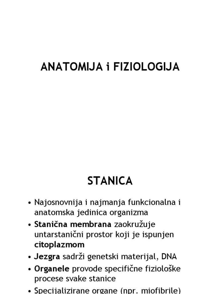 ANATOMIJA | PDF