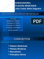 Plantas Medicinais - Palestra Completa