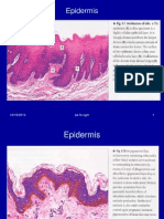 Skin, Thyroid, Colon and Ovarian Histopathology Report