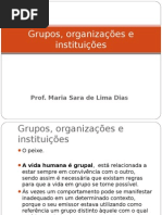 Aula Sara .Grupos, organizações e instituições