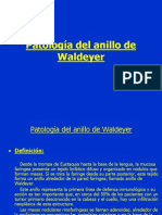 Anillo de Waldeyer 