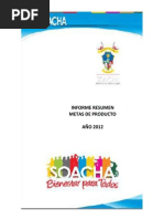 Informe metas producto 2012