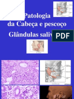 Cabeca e Pescoco 1 - Glds Salivares NX