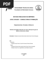 Relatorio Final Mestrado