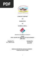 Download A Project Report on Marketing of Dominos by jyoti SN25049887 doc pdf