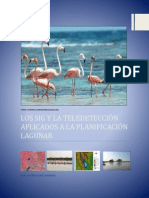 LOS SIG Y LA TELEDETECCION APLICADOS A LA PLANIFICACION LAGUNAR A LA