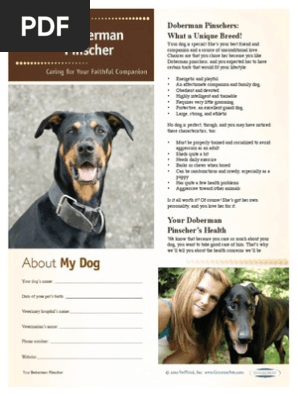 doberman dry skin treatment