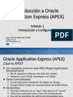 Presentacion Introduccion APEX