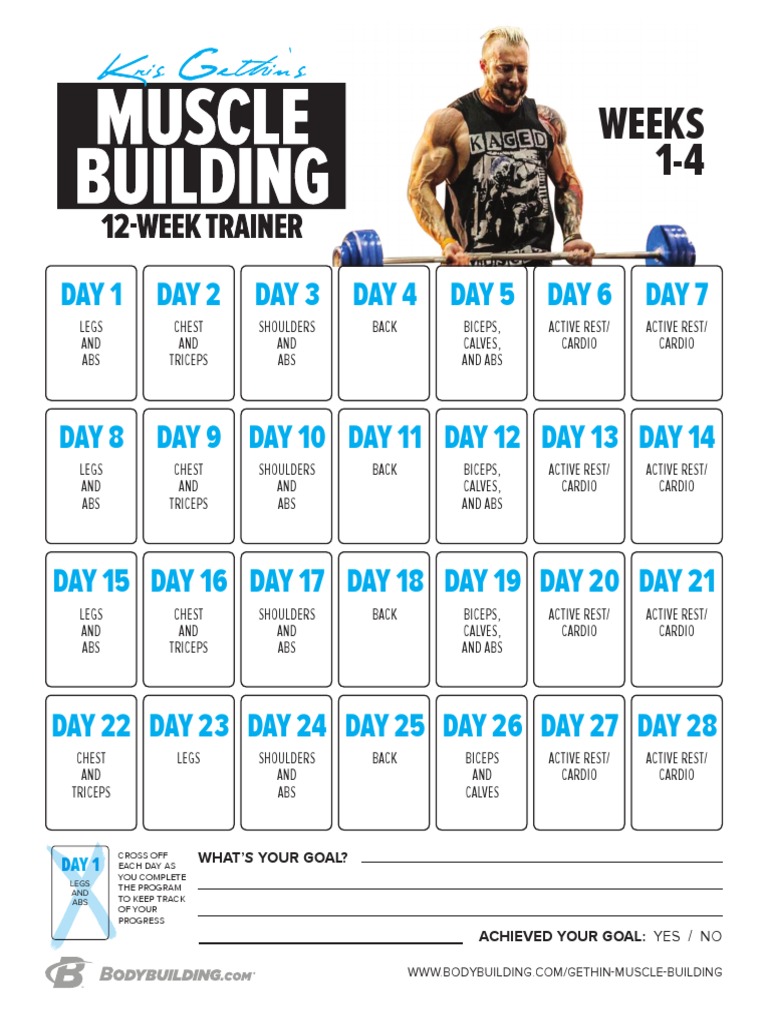 12 Week Lean Muscle Building Program Pdf: Ultimate Guide