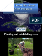 Planting