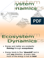 Energy Flow and Recycling in Ecosystems