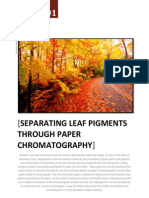 AP Biology - Separating Leave Pigments Through Paper Chromatography - SLCC