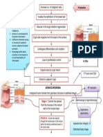 2 Rectal Ca, Poorly Differentiated Adenocarcinoma Stage Iv With Fallopian Tube & Ovarian Metastases (Concept Map)