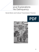 Sociological theories explain juvenile delinquency