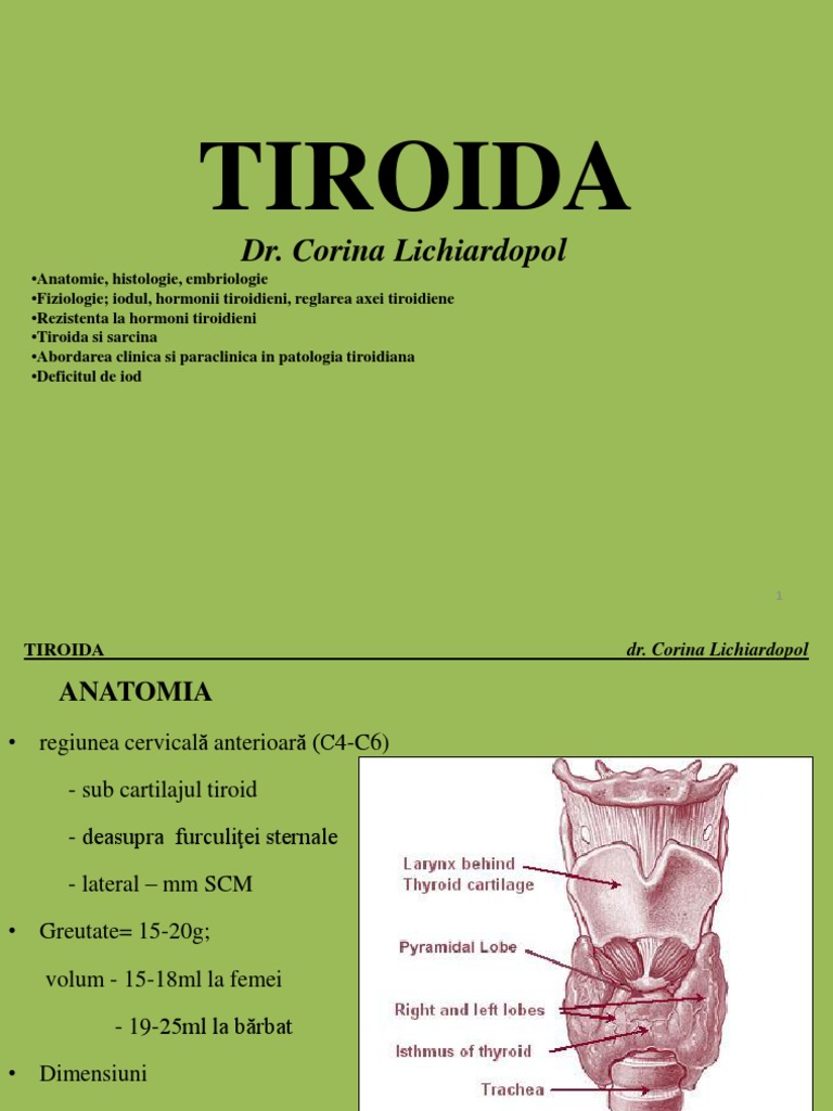 Tiroida I | PDF