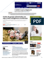 Cerdos de Granjas Alimentados Con Soja y Maíz Transgénicos Se Enferman - Lagranepoca