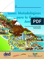 guias metodologicas gestion ambiental